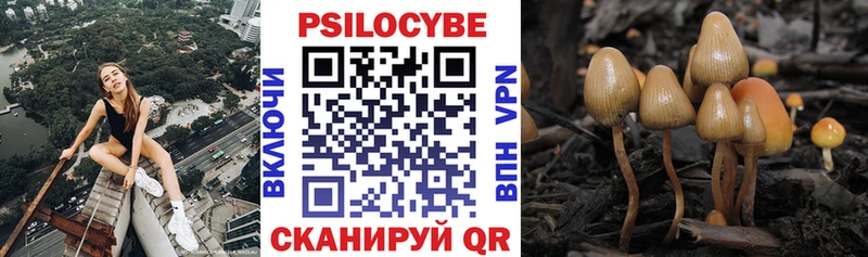 купить наркоту Белозерск Галлюциногенные грибы ЛСД